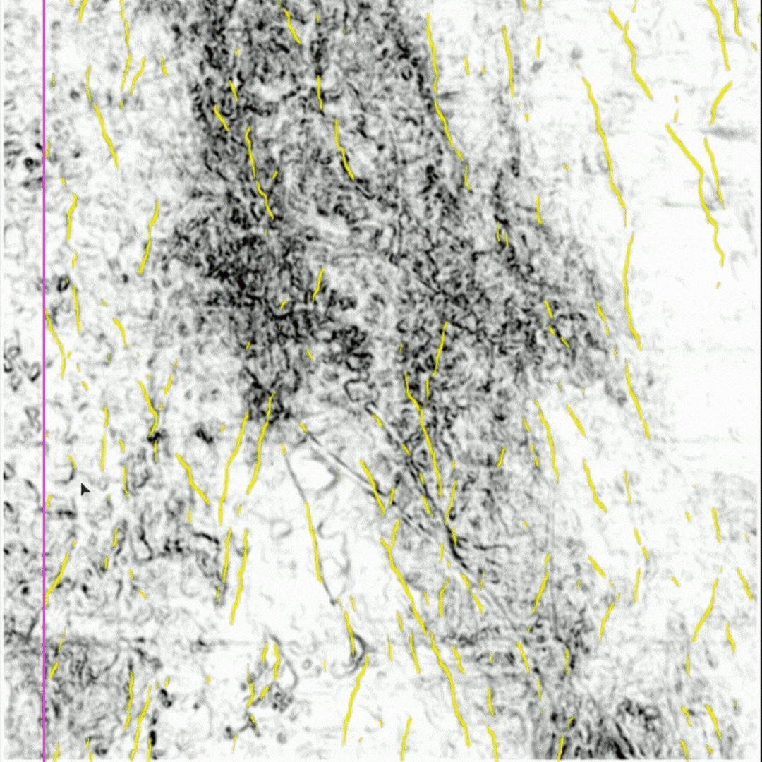 Changing_Attributes_GIF (1)